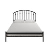 Narla Metal Platform Bed Frame - Black - Full