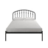 Narla Metal Platform Bed Frame - Black - Full