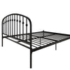 Narla Metal Platform Bed Frame - Black - Queen