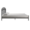 Narla Metal Platform Bed Frame - Black - Queen