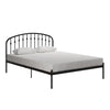 Narla Metal Platform Bed Frame - Black - Queen