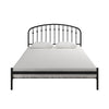 Narla Metal Platform Bed Frame - Black - Queen