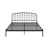 Narla Metal Platform Bed Frame - Black - King