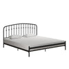 Narla Metal Platform Bed Frame - Black - King