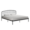 Narla Metal Platform Bed Frame - Black - King