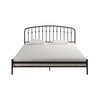 Narla Metal Platform Bed Frame - Black - King