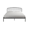 Narla Metal Platform Bed Frame - Black - King