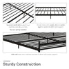 Narla Metal Platform Bed Frame - Black - King