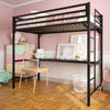 Miles Metal Loft Bed with Desk - Black - Twin