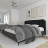 DHP Callie Upholstered Bed, King, Black Velvet - Black - King